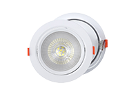Spot-Light.png