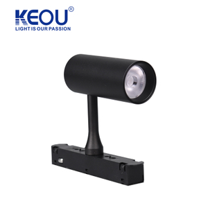 48V Maqnit Spotlight