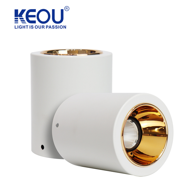 Downlight modular montado en superficie de un solo cabezal No. 10