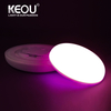 Lampu latar Lampu Panel Led