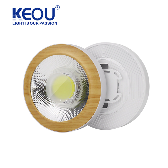 Hatsi Rufe Down Light